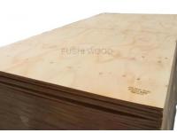 What Is CDX- Descritpion, Uses and Qualities of CDX