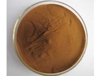 How Traditional Chinese Medicine Supports Modern Wellness Goals