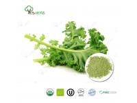 Applications of Kale Powder