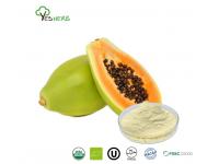 What Is Papaya Powder Used For?