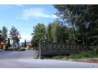 Cast Iron Cookware Manufacturer-Hebei Chuihua Casting Co., Ltd	