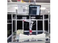 Auto Tail Light Assembly Line