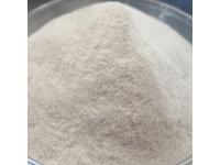 Ferrous Sulfate Monohydrate