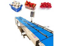 Difference Between Static Checkweigher and Dynamic Checkweigher