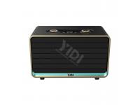 YD-W2404-5-Yidi 5 Inch Bluetooth Party Karaoke Speaker