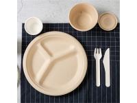 Why Choose Sugarcane Bagasse Plates Over Paper and Plastic?
