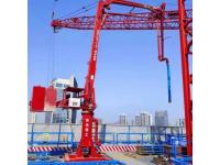 Form-Frame Placing Boom