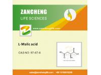 What Is the Difference Between Malic Acid and L Malic Acid?