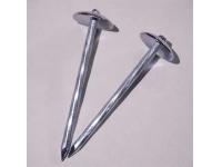 How to Choose a Reliable Galvanized Roofing Nail Supplier?
