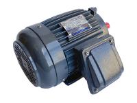 What Are Low Voltage Motors and Their Applications?