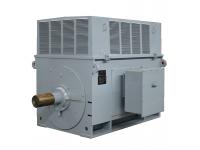 How to Choose the Right Medium Voltage Electric Motor for Your Application