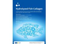 What time of day is best to take hydrolyzed collagen?
