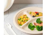 Paper vs. Bagasse Disposable Tableware: Which is More Sustainable?
