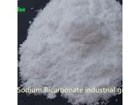 What Are the Key Uses of Sodium Bicarbonate?