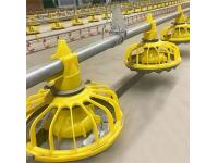 How Low-Maintenance Nipple Drinkers Reduce Operational Costs in Public Projects