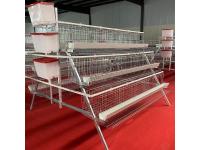 Covering All Breeding Scenarios! 2026 Hot Poultry Farming Equipment Category Inventory