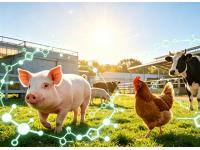 What are Amino Acids for Animal Health?