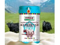 What is Yak Milk? Benefits, Uses