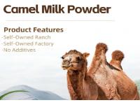 Camel Milk Powder Benefits: Nutrition & Health Advantages