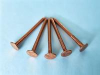 Round Common Nails