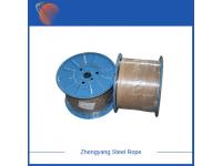 Corrosion-Resistant Steel Wire Ropes: Choosing the Right Material for Harsh Environments