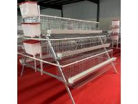 What are the key features of high-quality automatic chicken cages?