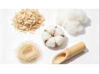 The Ultimate Guide to Types of Cellulose