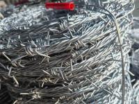 Barbed Wire