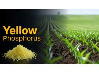 Yellow Phosphorus Price Trend Q2 2026: Global Market Movement and Price Outlook