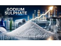 Sodium Sulphate Price Trend Q2 2026: Market Movement, Demand and Price Outlook