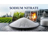 Sodium Nitrate Price Trend Q2 2026: Market Review and Outlook