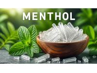 Menthol Price Trend Q2 2026 | Price Trends, Forecast, Chart, Prices and Index