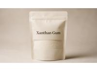 Xanthan Gum Price Trend Q2 2026 | Price Trends, Forecast, Chart, Prices and Index