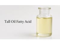 Tall Oil Fatty Acid Price Trend Q2 2026 | Prices, Forecast, Chart and Index