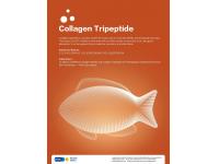 The Health Benefits of Consuming Bovine Collagen